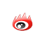 新浪新闻 logo
